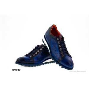 Paul struzzo blu